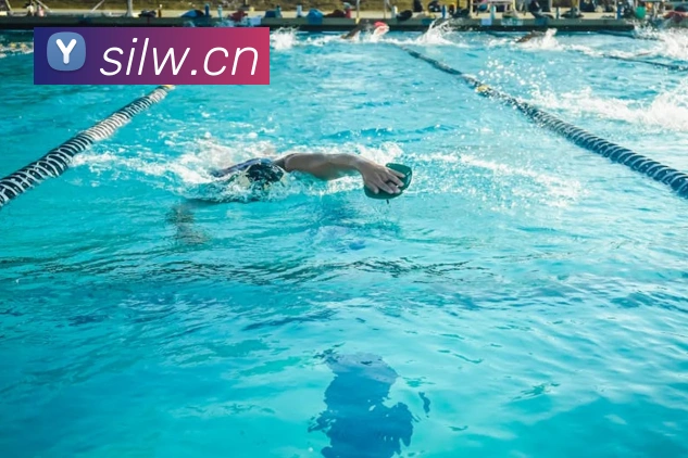 多媒体互动体验